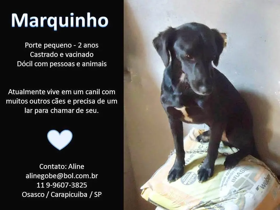 marquinho