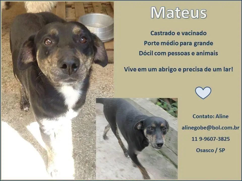 mateus