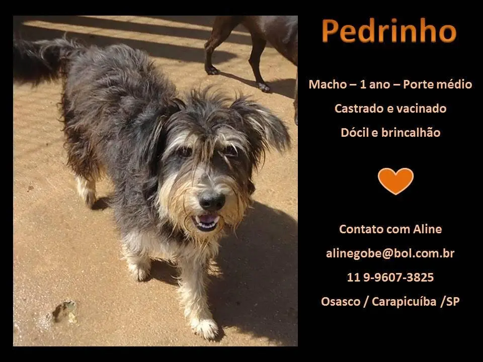 pedrinho