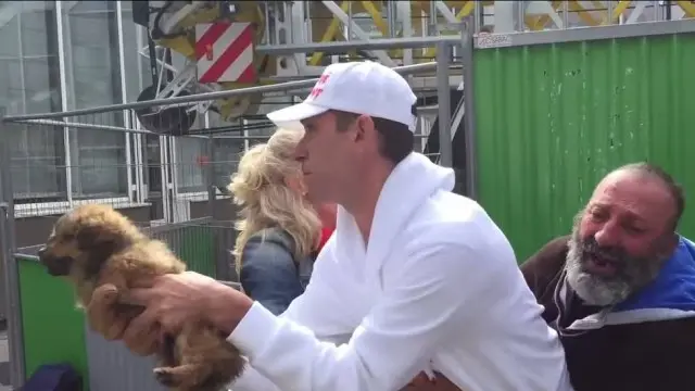 Ativista rouba cachorro de morador de rua depois de reclamação de uma mulher não identificada. Foto: Reprodução / Youtube