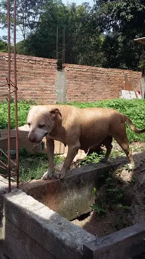 (Foto: Divulgação/ Arquivo pessoal)