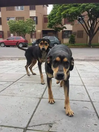 (Foto; Divulgação/ Arquivo pessoal)