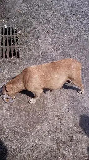 (Foto: Divulgação/ Arquivo pessoal)