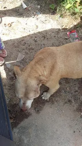 Está com o rosto machucado (Foto: Divulgação/ Arquivo pessoal)