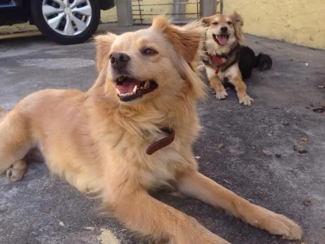 Os sorrisos mais lindos (Foto: Divulgação / Arquivo Pessoal)