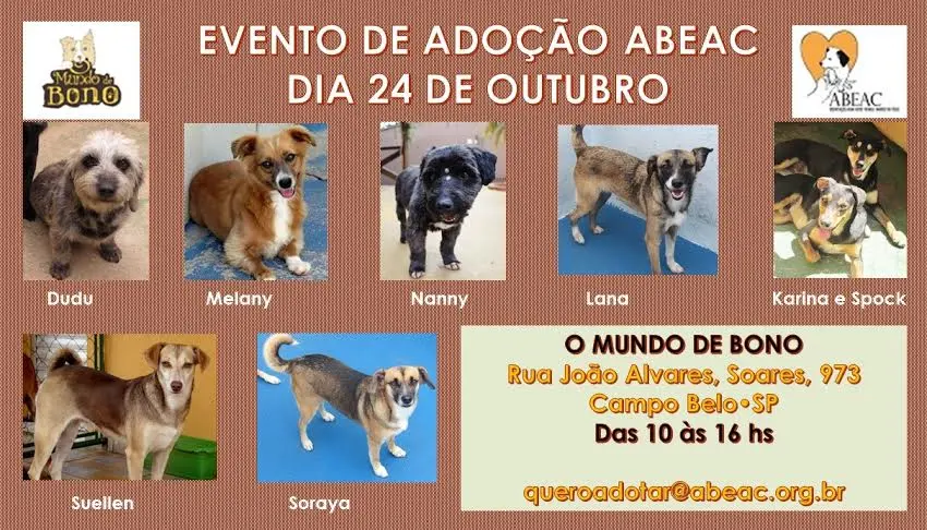 (Foto: Divulgação)