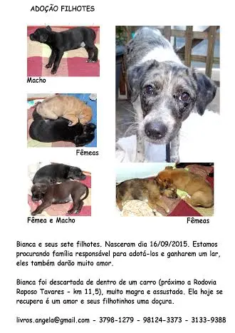 (Foto: Divulgação/ Arquivo pessoal)