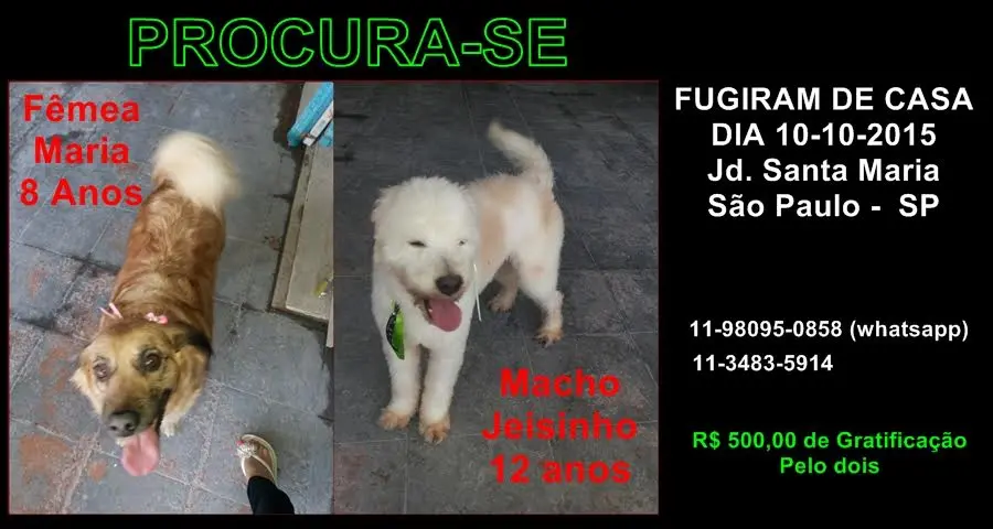 (Foto; Divulgação/ Arquivo pessoal)