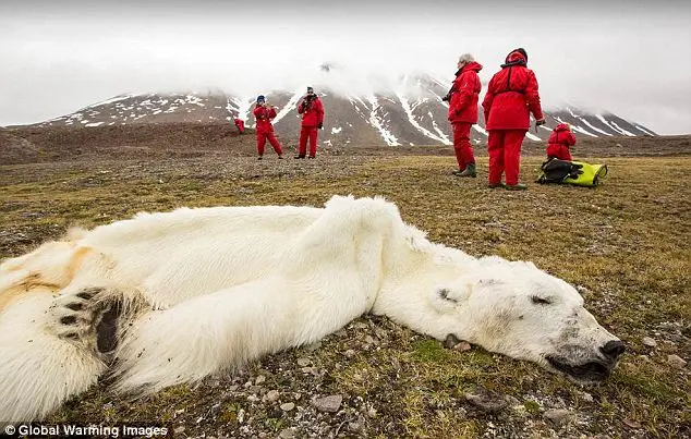 Foto: Global Warning Images