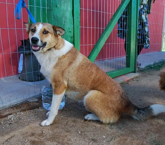 (Foto: Divulgação/ Arquivo pessoal)