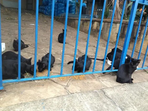 (Foto: Divulgação/ Arquivo pessoal)