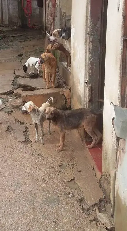 (Foto: Divulgação/ Arquivo pessoal)