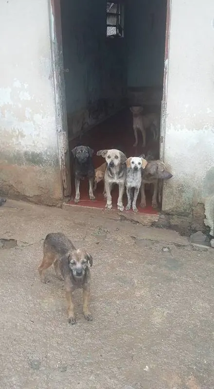 (Foto: Divulgação/ Arquivo pessoal)