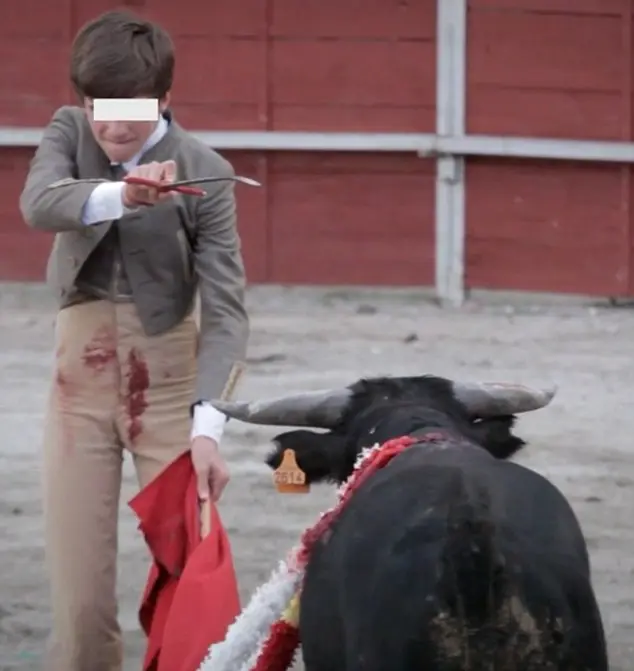 O vídeo chocante mostra crianças agindo como matadores experientes assassinando o animal, colocando a espada entre o ombro e o coração.  (Foto: PACMA)