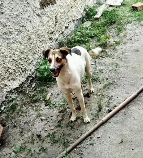 (Foto: Divulgação/ Arquivo pessoal)