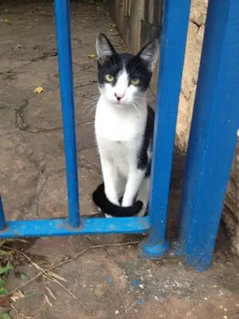 (Foto: Divulgação/ Arquivo pessoal)