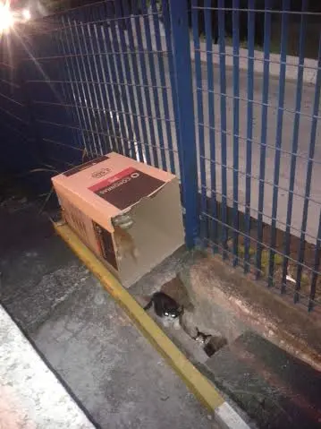 Divulgação