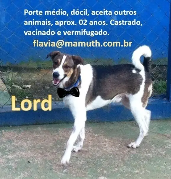 Divulgação