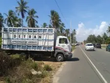 Parceria entre PM e CPRv tem evitado acidentes (Foto: Divulgação)