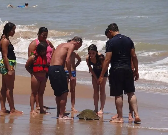 A cena é comum em Marataízes e a causa, na maioria das vezes, é de morte por asfixia. Foto: José Rubens Brumana.