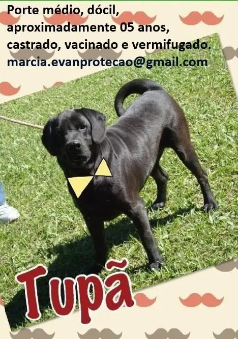 tupã