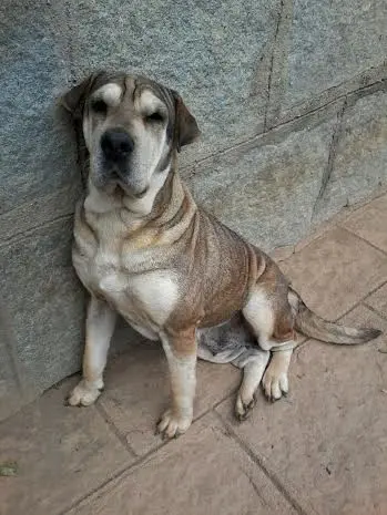 (Foto: Divulgação/ Arquivo pessoal)