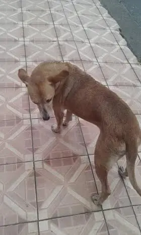 (Foto: Divulgação/ Arquivo pessoal)