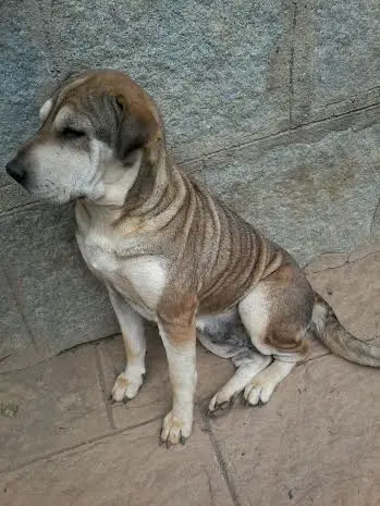 (Foto: Divulgação/ Arquivo pessoal)