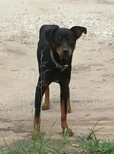 (Foto: Divulgação/ Arquivo pessoal)