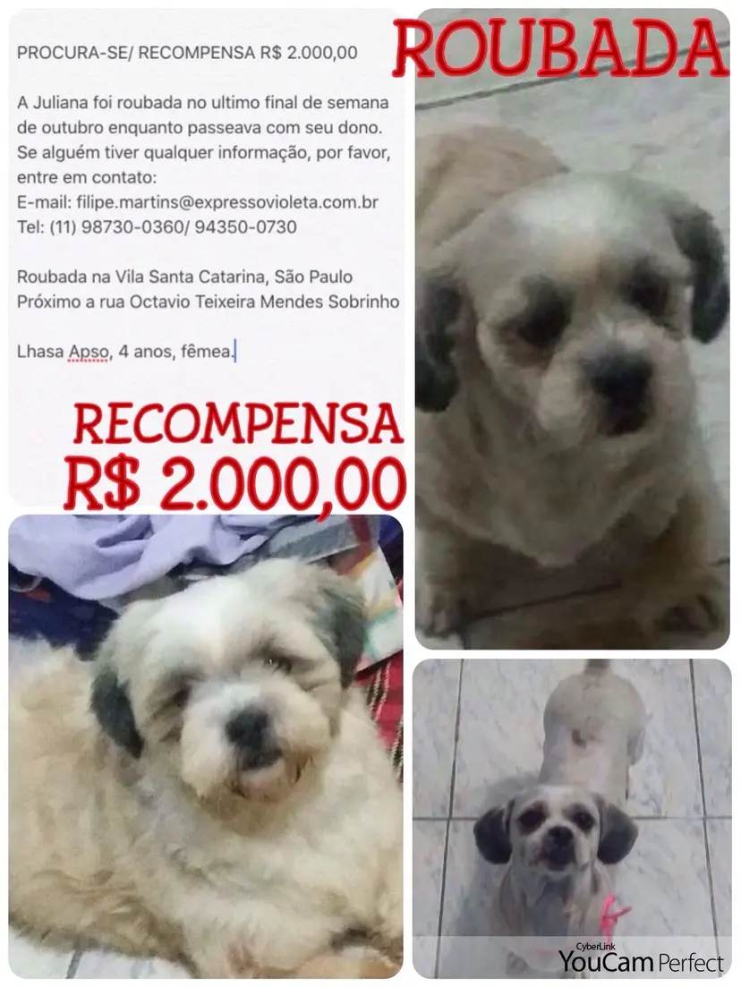 (Foto: Divulgação/ Arquivo pessoal)
