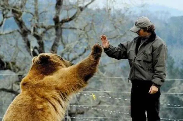Urso1
