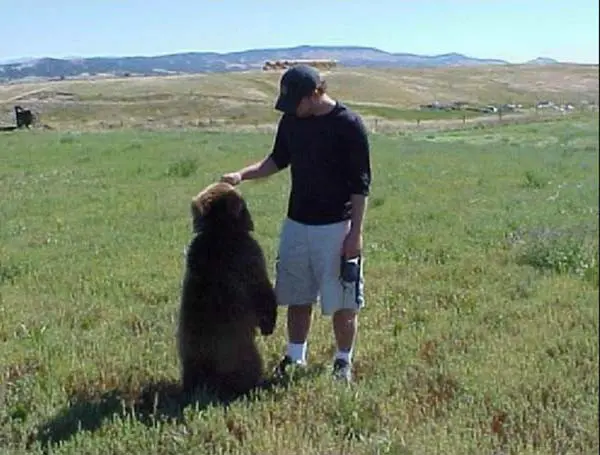 Urso3