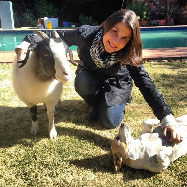 Karina com cabra e cachorro na casa de um amigo na África do Sul. Descrição para deficientes visuais: A leitora Karina, de cabelos castanhos lisos e na altura dos ombros, está agachada e abraça uma cabra ao mesmo tempo em que passa a mão na barriga de um cachorro deitado na grama. Ela olha para a câmera e sorri. Foto: Arquivo pessoal