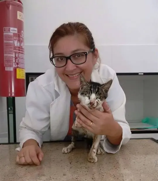 Gato Trip com a veterinária Mara Carrera. Depois do trauma de perder uma pata, agora recebe carinho. Descrição: Gatinho branco e cinza adulto, magrinho e de pé em uma mesa. Ele está sendo segurado pela veterinária que é loira e usa óculos. Ela sorri e o gato também olha para a câmera. Foto: Arquivo pessoal