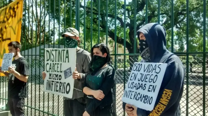 Ativistas se acorrentam em Zoológico de Buenos Aires