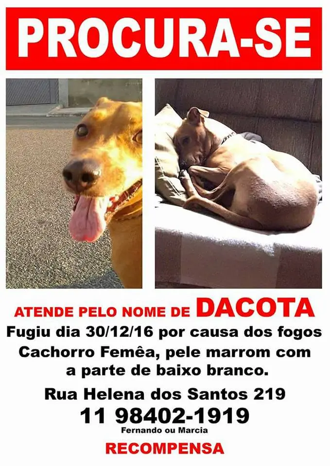 dacota