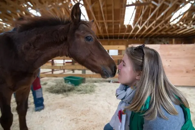 Foto: Woodstock Farm Animal Sanctuary