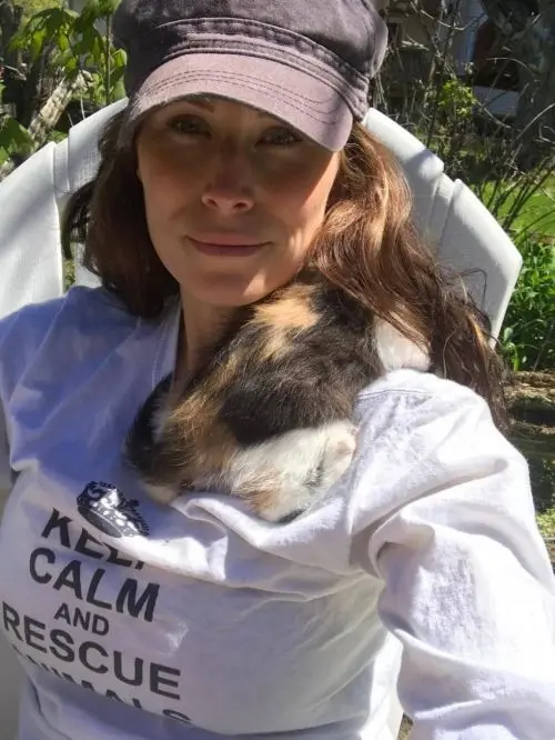 Gatinha após ser resgatada de loja de animais