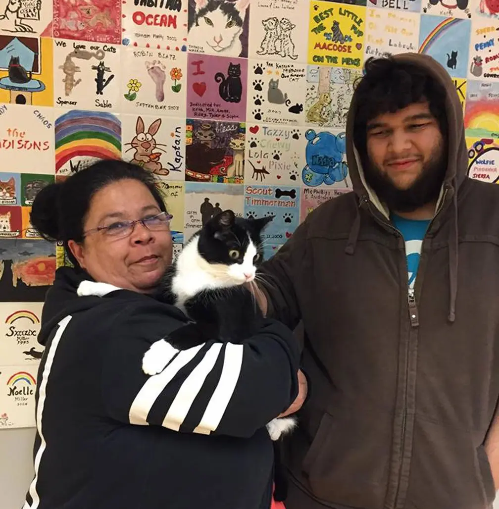 Tutora abraça gato em reencontro