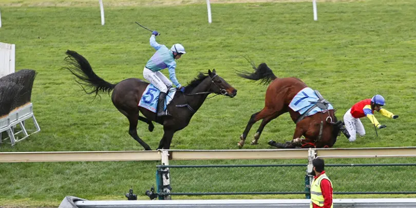 Cavalo se fere durante corrida