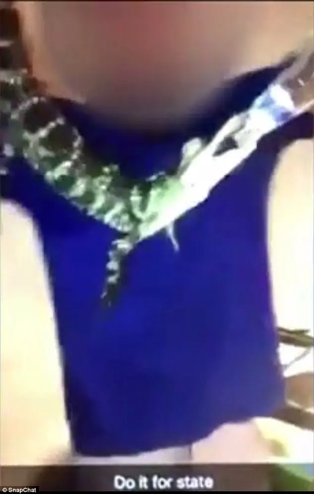Abusador obriga jacaré a ingerir álcool