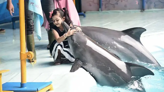 Menina posa para foto com golfinho