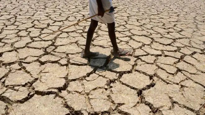 Efeitos das mudanças climáticas