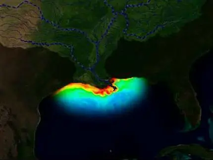 A zona morta no Norte do Golfo do México é um dos maiores "desertos biológicos" do mundo