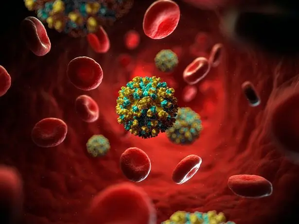 Vírus que infectou milhares de pessoas