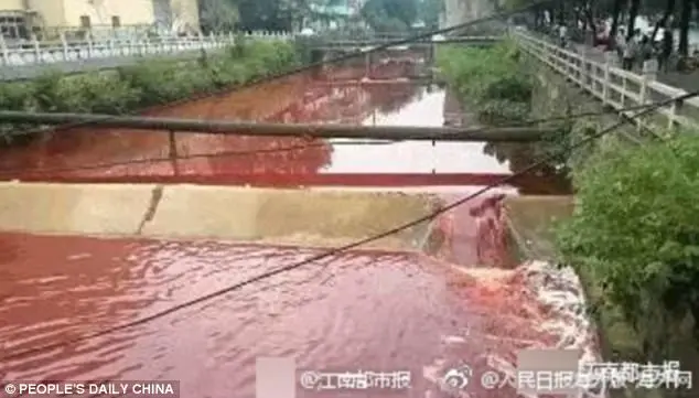 Rio tingido de sangue