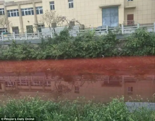 Rio tingido de sangue