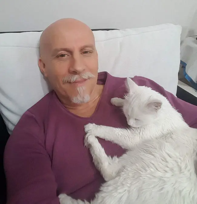 gatinho que ficou preso agora passa bem