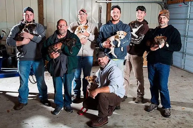 Cachorra e filhotes são adotados por amigos