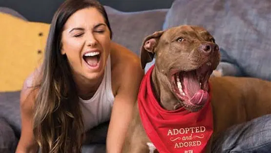 Atleta Alex Morgan incentiva a adoção de animais em centros especializados em uma campanha da PETA.